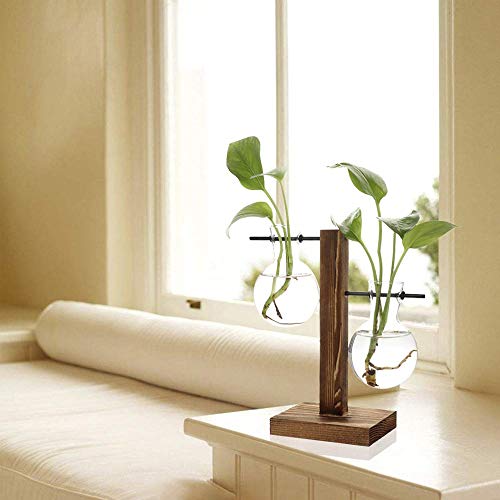 Jarrón de Vidrio Transparente Terrario de Plantas Colgantes con Soporte de Madera Maciza Retro para Jardinería Planta de Hidroponía Decoración de Casa 3 jarrones de Bombilla de Cristal