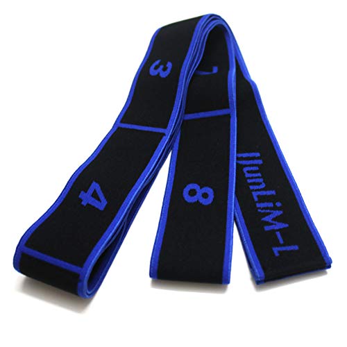 JJunLiM Bandas de bucles de Ejercicio Bandas de Entrenamiento de Danza Latina 15-20 kg Pilates Yoga Bandas de Resistencia al Estiramiento Bandas de Gimnasia elásticas para Ejercicios(90cm Blue)