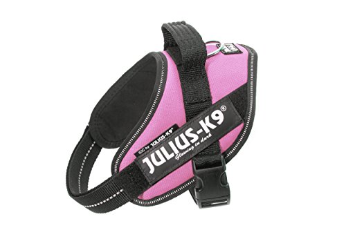 Julius-K9 16IDC - Power Harness