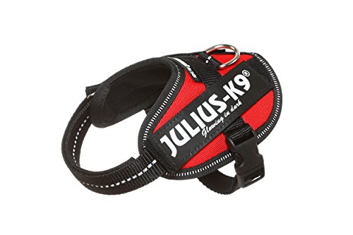 JULIUS-K9 Arnés Julius-K9 IDC, Baby 2/XS–S, 33–45 cm/18 mm, Rojo, Perro