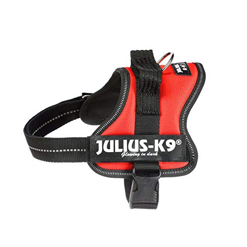 Julius-K9 Mini, 51-67 cm, Rojo