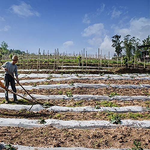 JYCRA Paño anticongelante para plantas, tela no tejida, reutilizable, manta flotante para plantas de jardín, vegetales, tela sin tejer, Blanco, 2 m x 10 m