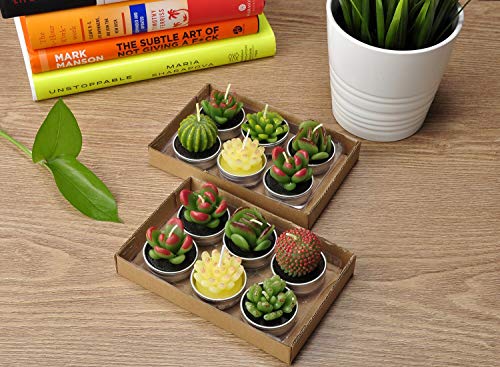 LA BELLEFÉE - 12 Velas Suculentas Plantas Cactus Decorativas para Casa Regalos para Halloween Navidad Cumpleaños Fiestas Boda Adorables Regalos para los Amantes de Suculentas