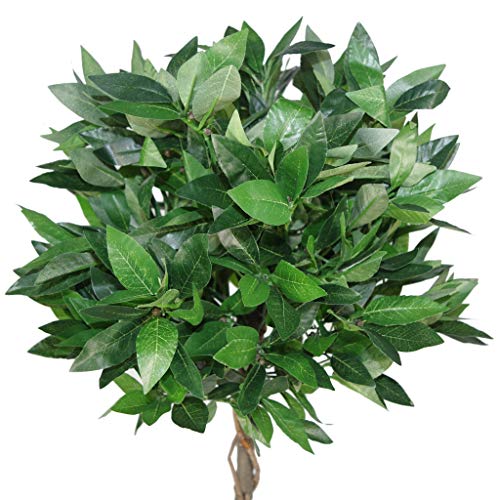 Leaf Árbol de Laurel Artificial Estilo Bola Trenzado o Liso en Maceta de plástico Negro, 90 cm, Large