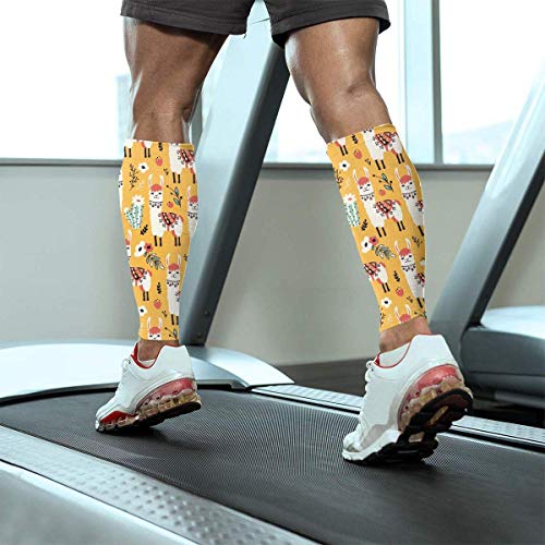 Men Women Lovely Llamas Flowers Calf Compression Sleeve Fashion Leg Support Calf Guards Sleeves Calf Pain Relief for Running