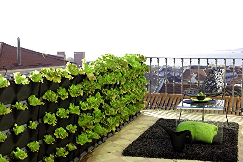 minigarden 1 Juego Vertical para 9 Plantas, Jardín Vertical Modular y Extensible, Colocar en el Suelo o Colgar en la Pared, Mecanismo de Drenaje Innovador, Largo Ciclo de Vida (Negro)