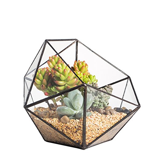 Moderno terrario poliédrico triangular de cristal, de fabricación artesanal, para plantas suculentas, bonsáis o cactus