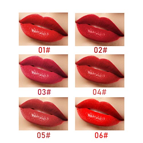 Onlyoily Sexy Mate barra de labios líquido, Lápiz Labial Líquido de larga Duración Hidratante, Maquillaje Profesional para Bálsamo Labial (05)