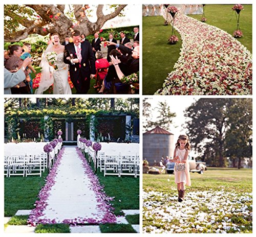 Peloo Pétalos de Rosa 3000pcs Pétalos de Rosa en Seda para Bodas Confeti Petalos Artificiales