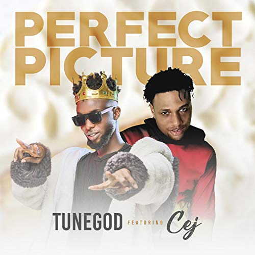 Perfect Picture (feat. Cej) [Explicit]