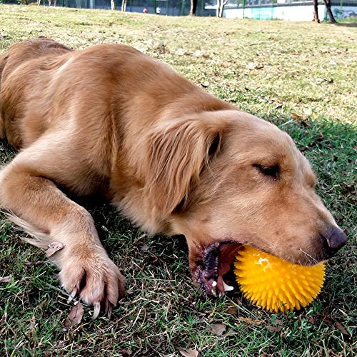 Perros Juguetes con Sonido Gran Pelota de Goma de Juguete con Chirriadores Mascota Juguetes para Morder Pelota Puntiagudo Hinchable para Pequeños y Medianos Perros Cachorros Masticar y Jugar, 2 piezas