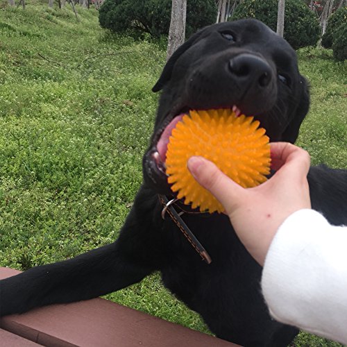 Perros Juguetes con Sonido Gran Pelota de Goma de Juguete con Chirriadores Mascota Juguetes para Morder Pelota Puntiagudo Hinchable para Pequeños y Medianos Perros Cachorros Masticar y Jugar, 2 piezas