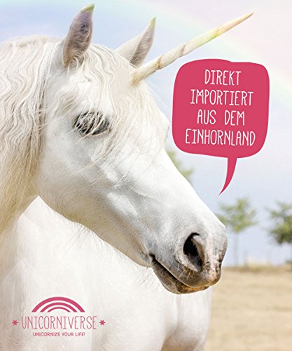 Placa de unicornio, país de los unicornios, decoración de pared, letrero para puerta, idea de regalo para fiesta de inauguración y cumpleaños, regalo para fans de los unicornios, divertida sorpresa.