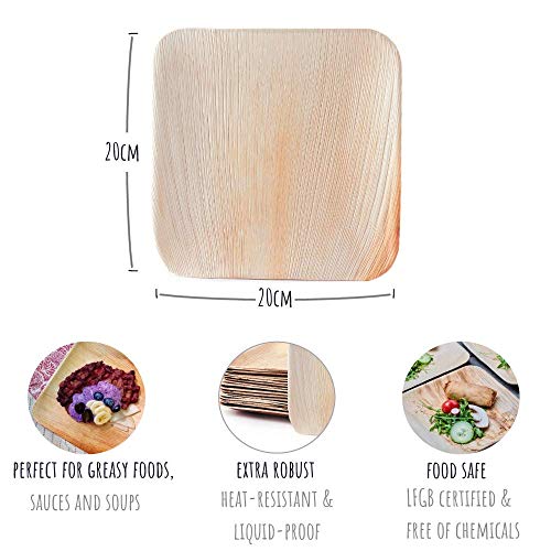 Plantvibes Platos de Hoja de Palma Naturales, 100% compostables & CO2-neutral - 25 Piezas de 20 x 20 cm - Platos de Madera, Vajillas de Madera