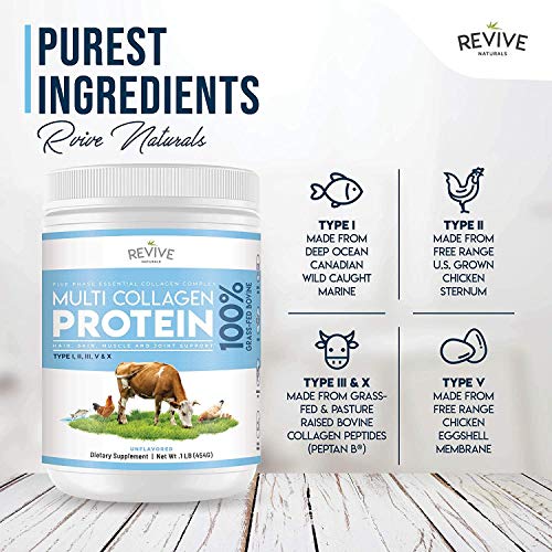 Polvo de Proteína Hidrolizada de Colágeno Múltiple (200g) - Tipos I, II, III, V y X - de Bovinos Alimentados con Pasto, Peces Silvestres, Caldo de Huesos Bovinos Alimentados con Pasto