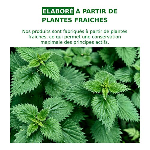 Purín de ortigas 2L (disponible en 5L), producto líquido concentrado Fabricado en Francia, hasta 40L de preparación, un bioestimulante ecológico para hortalizas, flores, vides y árboles frutales