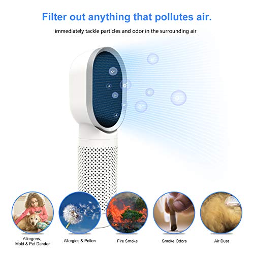 QUEENTY Purificador de Aire para Oficina con Filtro HEPA y Carbón Activado, Purificador de Aire para Hogar con Iones Negativos, Capturar Alergias, Polen, Humo, Olor y Caspas de Mascota