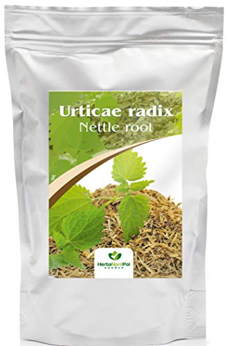 Raíz de Ortiga, Origen europeo, Té Suelto , Urticae Radix, Bien tamizada 800G