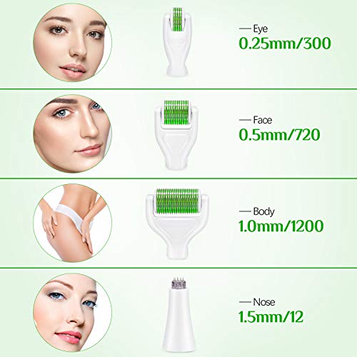 Rodillo Agujas, Nivlan 6 en 1 Derma Roller Rodillo de Micro Agujas Dermaroller para Cuidado de la Piel, Anti-Edad, Antiarrugas, Eliminación de Cicatrices Acne, Poro Contractivo, 0.25mm, Verde