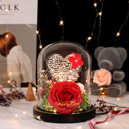 Rosa Bella y Bestia, Rosa Elegante Cúpula de Cristal con Base Pino Luces LED, Alimentado por USB, Regalos Magicos para Día de San Valentín Aniversario Bodas Decoración