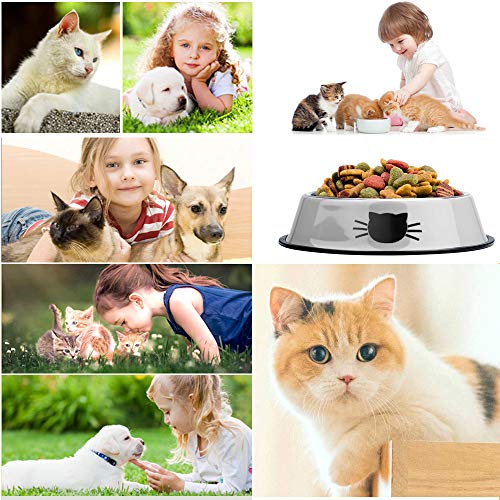 SaponinTree Cuencos para Gatos, 2 Piezas Cuencos Antideslizantes de Acero Inoxidable Comida Cuencos para Gatos, Cuencos Agua Comida Alimentación Platos para Mascotas, Perros, Gatos