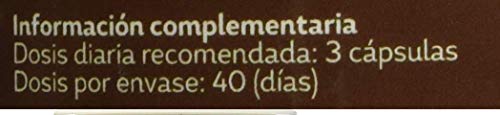 SOTYABELSAN Jengibre 120 Capsulas, mejora la Digestión, el tránsito Intestinal y las articulaciones, contrarresta Náuseas y Mareos, 430 mg.