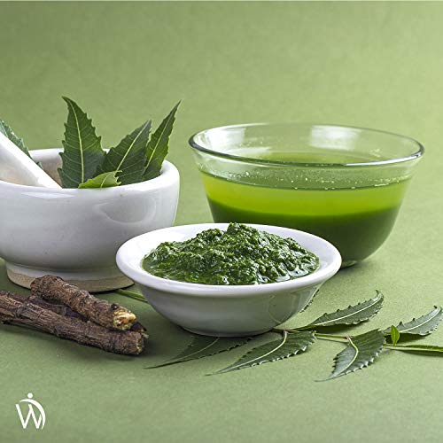 Suplemento Neem en Polvo Orgánico 200g | Hojas de Neem Polvo Ayurvédico Detox, Para Piel, Cabello, Dientes, Encías, Sistema Inmunológico y Bienestar del Corazón, Suplemento Natural y Vegano