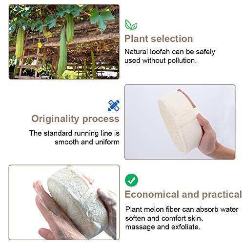 TAECOOOL exfoliante para espalda de lufa exfoliante, 2 paquetes 100% natural esponja de ducha exfoliante corporal para hombres/mujeres baño spa y ducha, tamaño grueso 14,5 x 10 cm x 5 cm