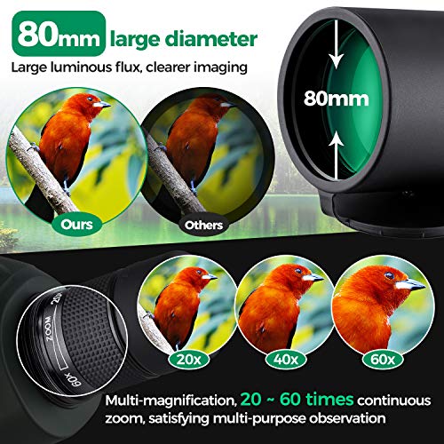 Telescopio Terrestre 20-60X80 Profesional Telescopio Monocular Impermeable Birdwatching HD con Adaptador de Teléfono y Trípode para Tiro con Arco, Safari Sightseeing, Stargazing, Camping