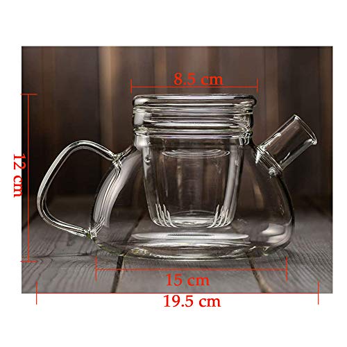 Tetera de cristal con infusor de 1000 ml, tetera con colador para té suelto, seguro en estufa, olla de té con infusor de vidrio y tapa de vidrio