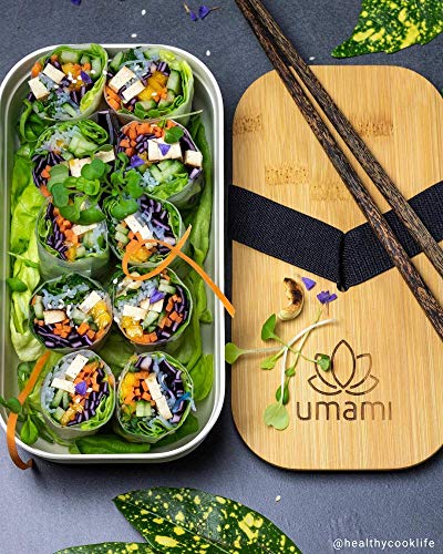 Umami - Fiambrera Eco de fibra de bambú, Bento, 100 % ecológica, apta para lavavajillas, duradera, Sana y de Diseño, Apta para adultos y niños, Marca francesa, Beige natural, L