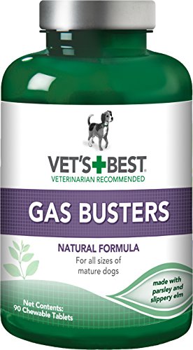 Vet's Best Gas Busters Suplementos para Perros para Gases, distensión Abdominal, Alivio del estreñimiento y Ayuda para la digestión para Perros 1 Unidad 280 g