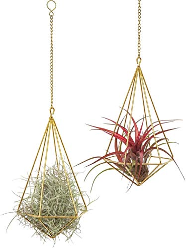 Woodtree Paquete de 2 Colgantes Titular de la Planta de Aire Independiente Metal Tillandsia Himmeli Rack Airplants Display decoración de la Pared, Oro