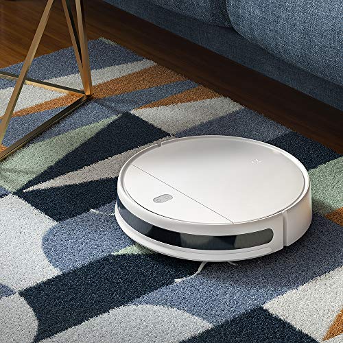 Xiaomi SKV4136GL Vacuum, 28 W, 0.42 litros, Acero 18/10