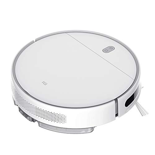 Xiaomi SKV4136GL Vacuum, 28 W, 0.42 litros, Acero 18/10