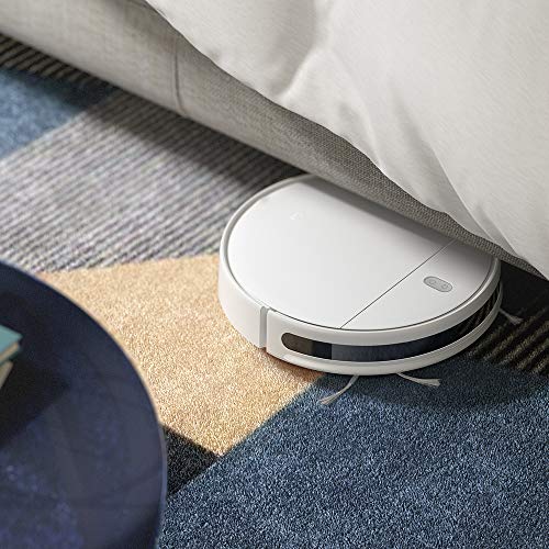 Xiaomi SKV4136GL Vacuum, 28 W, 0.42 litros, Acero 18/10