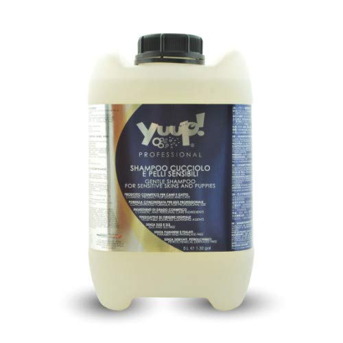 yuup.® Profesional lávalo Champú para piel sensible y cachorros (1 L, 5 L) – PH neutro, paraben libre, sin SLES & SLS, sin ftalatos y phosphate