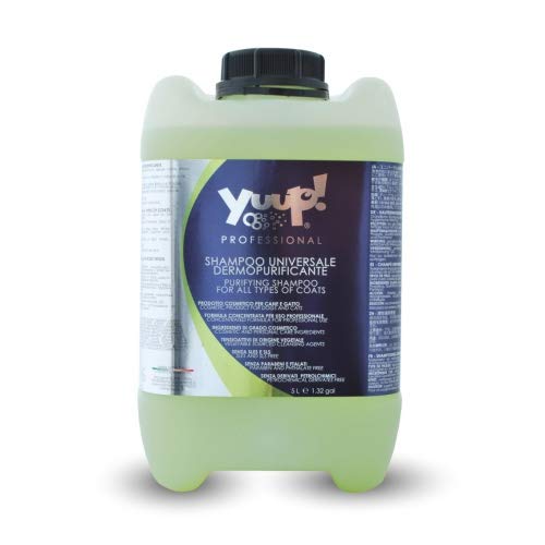 yuup.® Profesional universal super limpiar Champú (1 L, 5 L) – PH neutro, paraben libre, sin SLES & SLS, sin ftalatos y phosphate