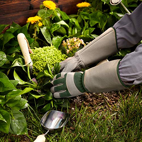 AmazonBasics - Guantes de jardinería, para poda de rosales, protege contra espinas, con protección de antebrazo, color verde, talla XL