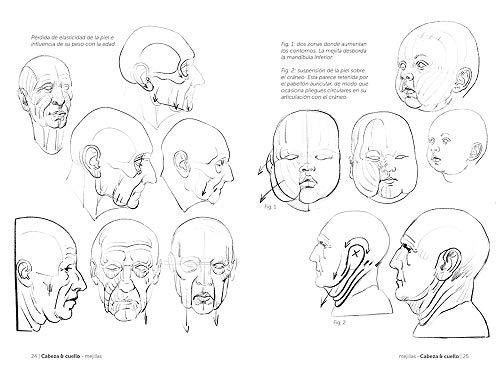 Anatomía artística 4. Grasas y Pliegues De La Piel