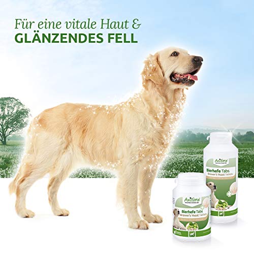 AniForte Tabletas de levadura de Cerveza Perros 250 Piezas - Producto Natural, Pelo Brillante y Fuerte, Piel Vital, Condición General de fortalecimiento y promoción, Vitaminas y minerales