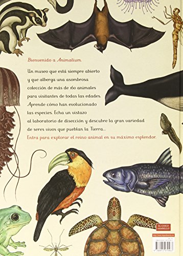 Animalium (El chico amarillo)