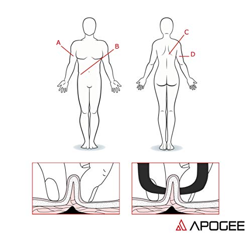 APOGEE Plicometro, adipometro y Cinta metrica - Conjunto medir la Grasa Corporal - Instrucciones en español. Bolsa de Transporte incluida