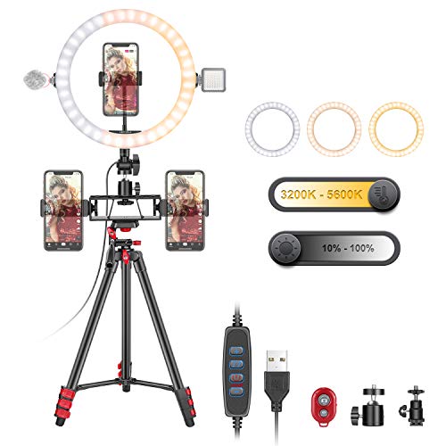 Art DNA Anillo de Luz USB 10 Pulgadas con Soporte y 3 Soportes para Teléfono USB Selfie Halo Luz con 2 Ranuras de Montaje Adicionales Regulable Bicolor para Maquillaje Vlogging Youtube TikTok Video