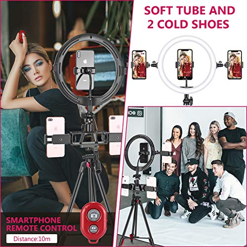 Art DNA Anillo de Luz USB 10 Pulgadas con Soporte y 3 Soportes para Teléfono USB Selfie Halo Luz con 2 Ranuras de Montaje Adicionales Regulable Bicolor para Maquillaje Vlogging Youtube TikTok Video