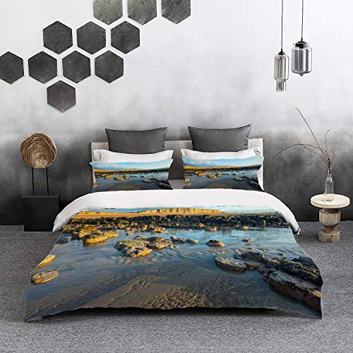 Bedding Juego de Funda de Edredón -Tocones El árbol inglés La marea del canal queda cortada Acantilados petrificados Bosque for/Microfibra Funda de Nórdico (Cama 220 x 240 cm + Almohada 50X80 cm)