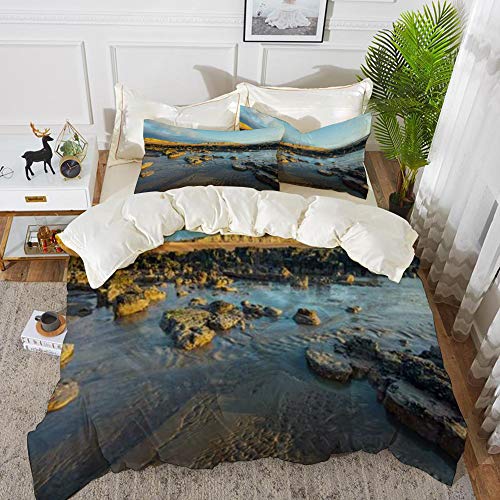 Bedding Juego de Funda de Edredón -Tocones El árbol inglés La marea del canal queda cortada Acantilados petrificados Bosque for/Microfibra Funda de Nórdico (Cama 220 x 240 cm + Almohada 50X80 cm)