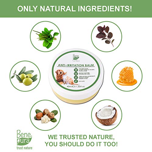 Bene Pura Trust Nature Bálsamo para Mascotas 100% Natural Anti-irritación - para Patas, Nariz y Piel - para Perros y Gatos