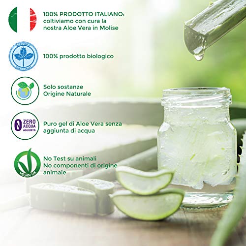 Benessence - GEL AJUVANTE PARA HEMORROIDES EN ALOE VERA ORGÁNICO - 100 ml