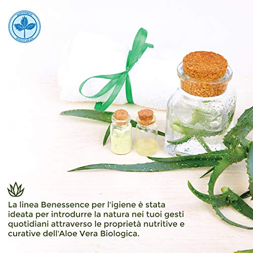 Benessence - GEL AJUVANTE PARA HEMORROIDES EN ALOE VERA ORGÁNICO - 100 ml